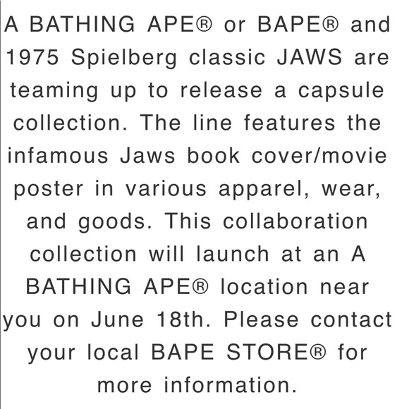 A Bathing Ape Jaws Hoodie - Picture 6 of 6